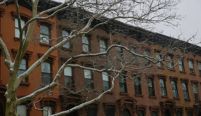 Cobble Hill Seattle neighborhood